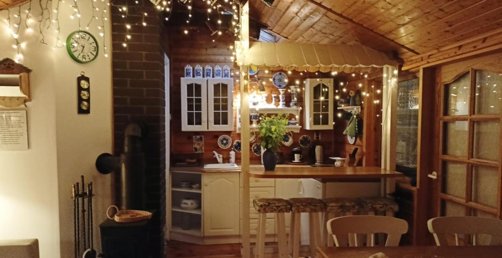 Domek Letniskowy Na Kaszubach Lub Apartament Z Kominkiem 帕克 外观 照片
