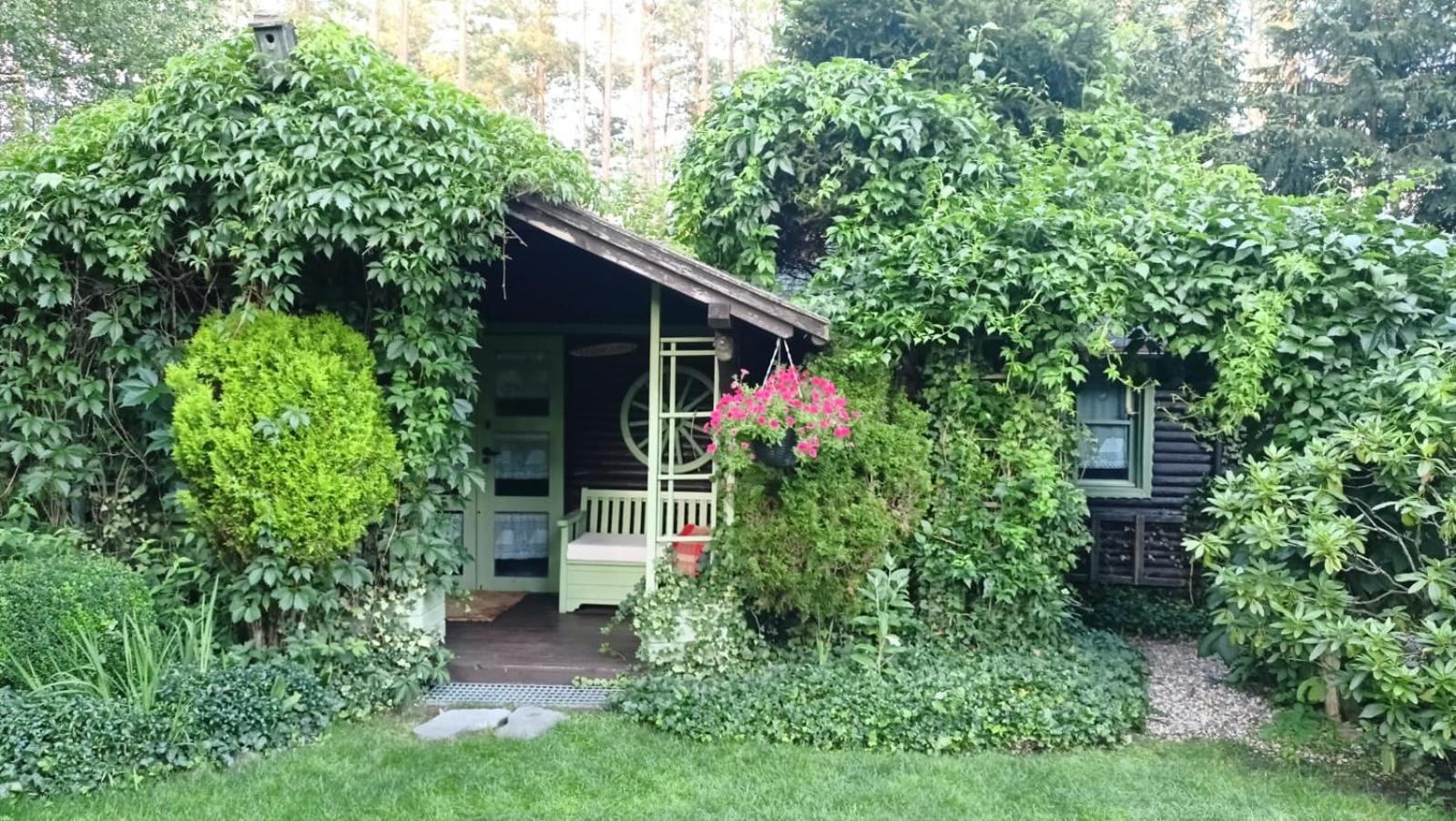 Domek Letniskowy Na Kaszubach Lub Apartament Z Kominkiem 帕克 外观 照片