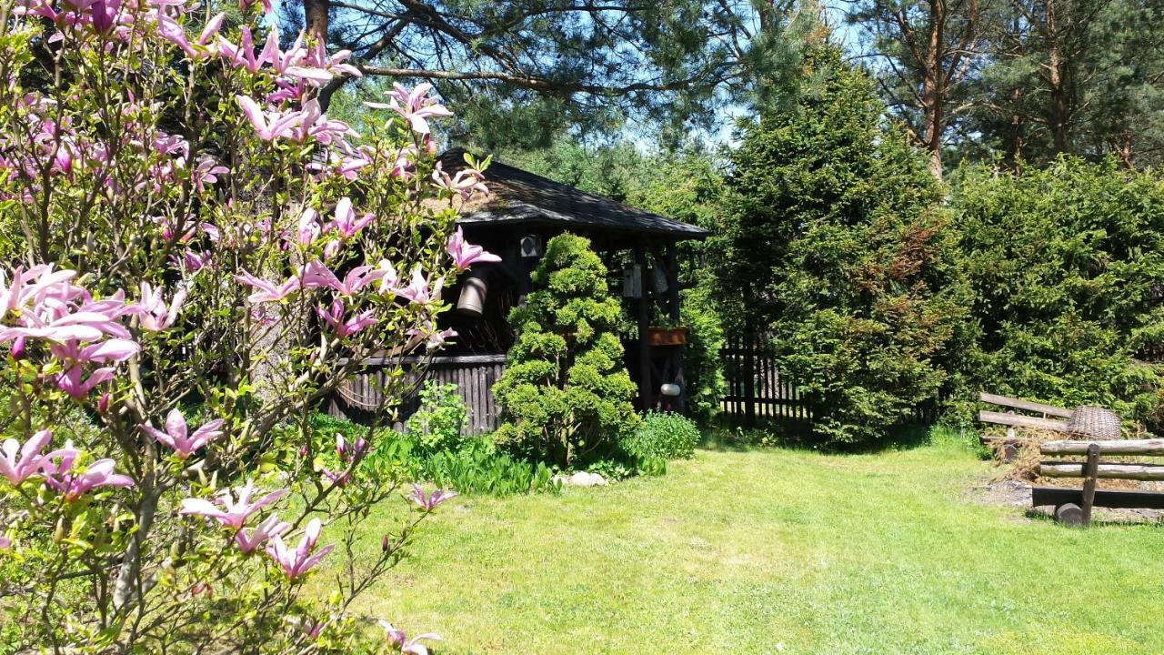Domek Letniskowy Na Kaszubach Lub Apartament Z Kominkiem 帕克 外观 照片