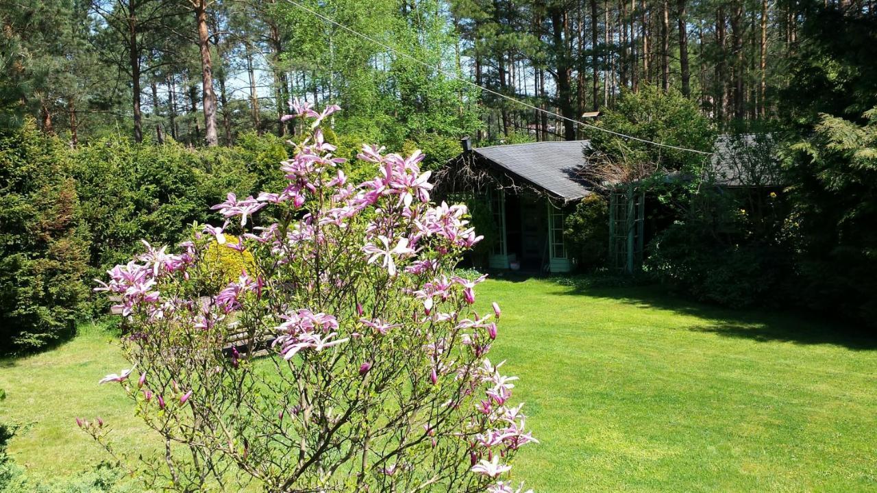 Domek Letniskowy Na Kaszubach Lub Apartament Z Kominkiem 帕克 外观 照片