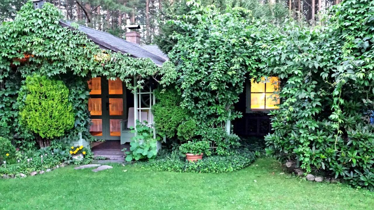 Domek Letniskowy Na Kaszubach Lub Apartament Z Kominkiem 帕克 外观 照片