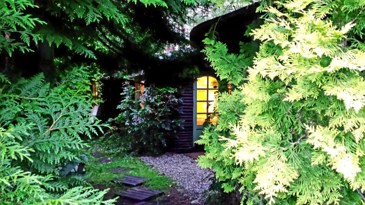 Domek Letniskowy Na Kaszubach Lub Apartament Z Kominkiem 帕克 外观 照片