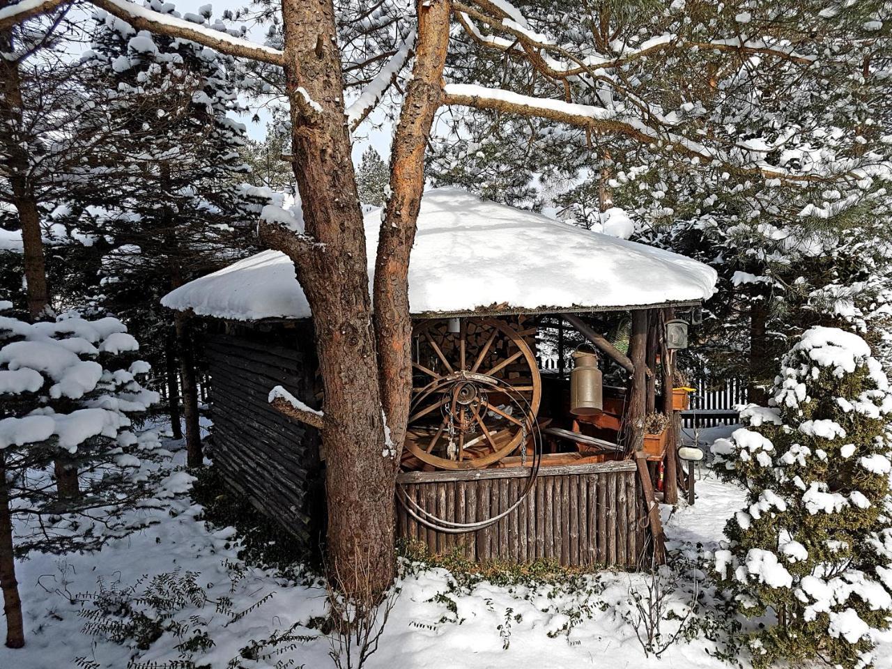 Domek Letniskowy Na Kaszubach Lub Apartament Z Kominkiem 帕克 外观 照片