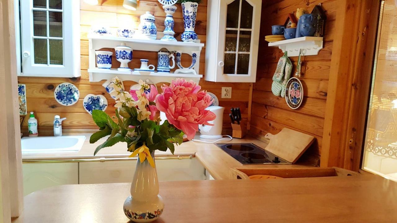 Domek Letniskowy Na Kaszubach Lub Apartament Z Kominkiem 帕克 外观 照片