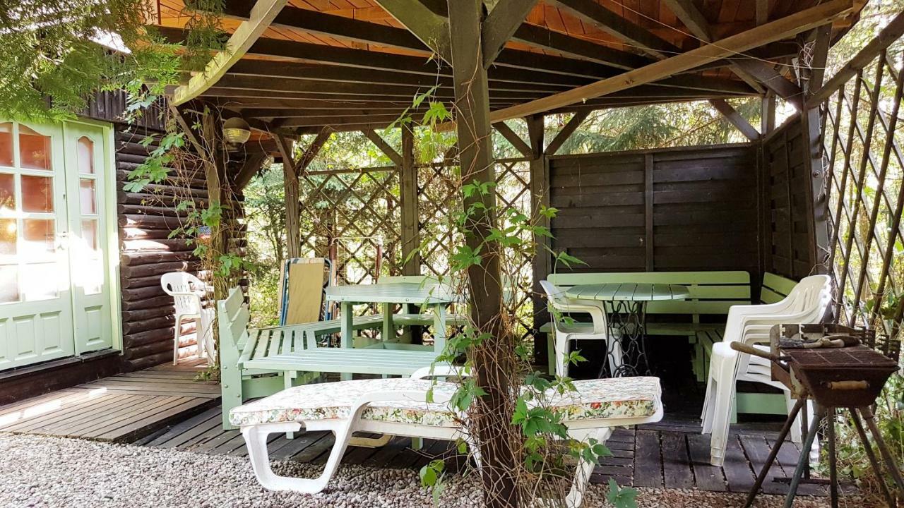 Domek Letniskowy Na Kaszubach Lub Apartament Z Kominkiem 帕克 外观 照片