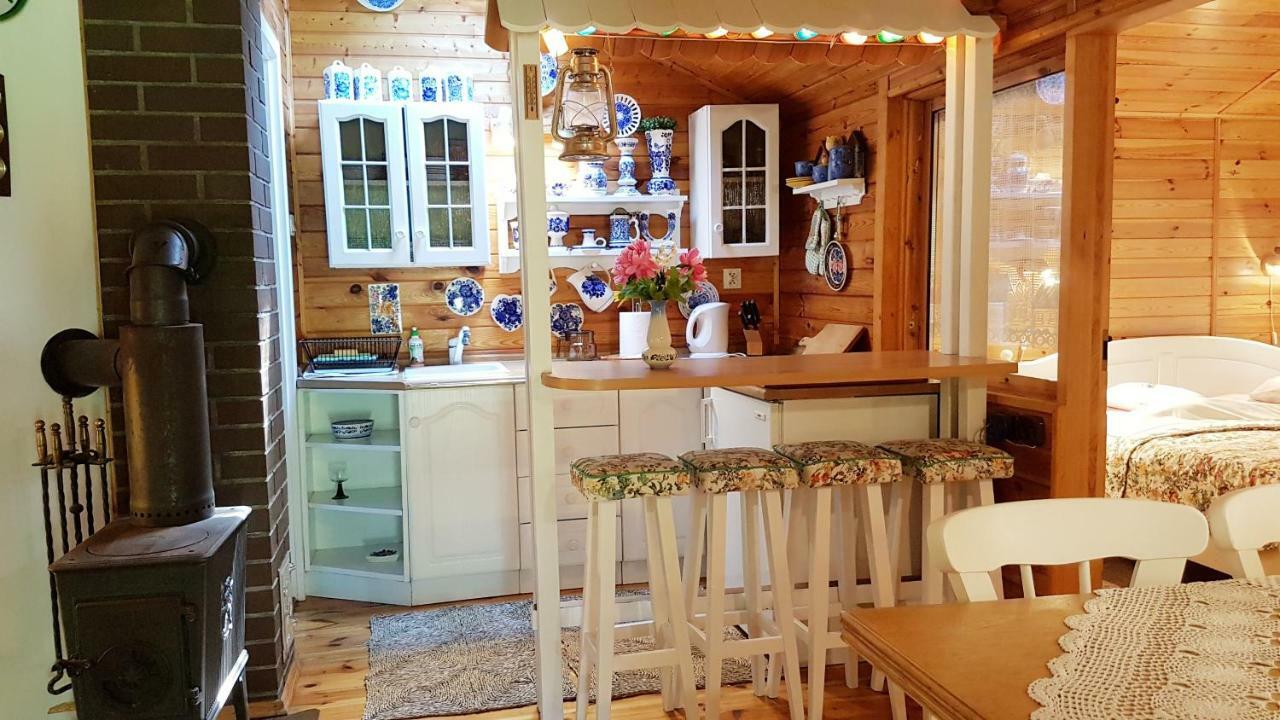 Domek Letniskowy Na Kaszubach Lub Apartament Z Kominkiem 帕克 外观 照片