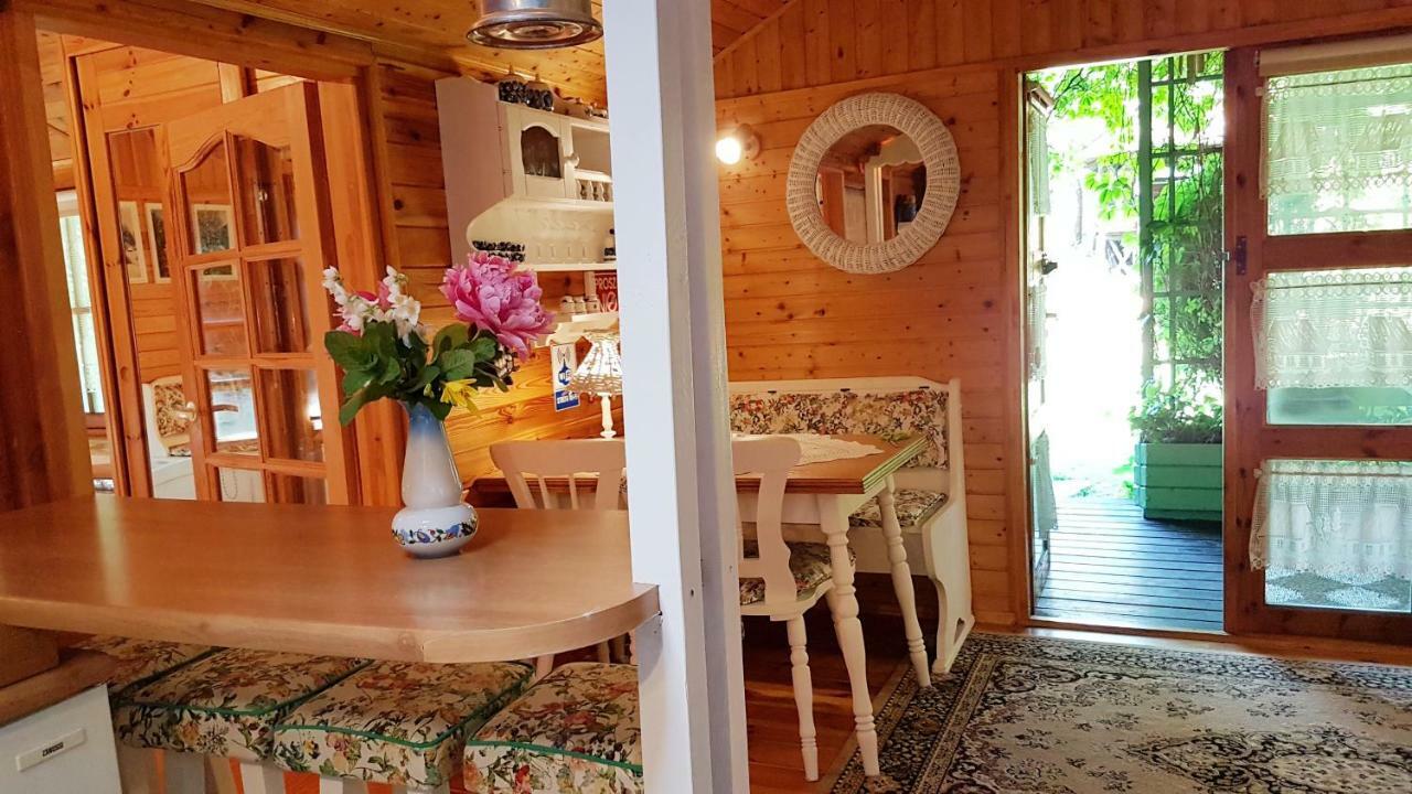Domek Letniskowy Na Kaszubach Lub Apartament Z Kominkiem 帕克 外观 照片