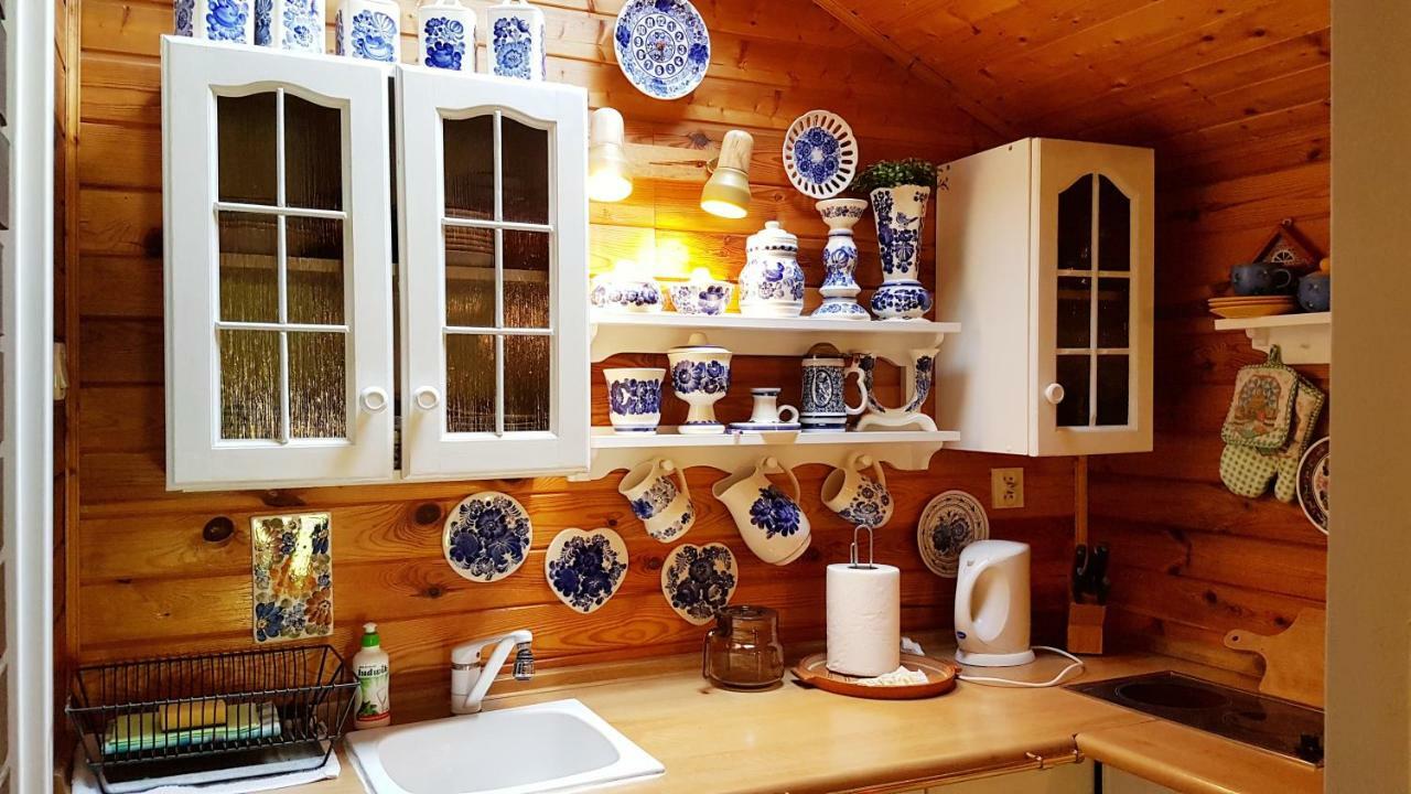 Domek Letniskowy Na Kaszubach Lub Apartament Z Kominkiem 帕克 外观 照片
