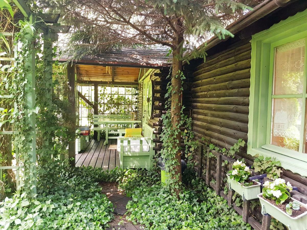 Domek Letniskowy Na Kaszubach Lub Apartament Z Kominkiem 帕克 外观 照片