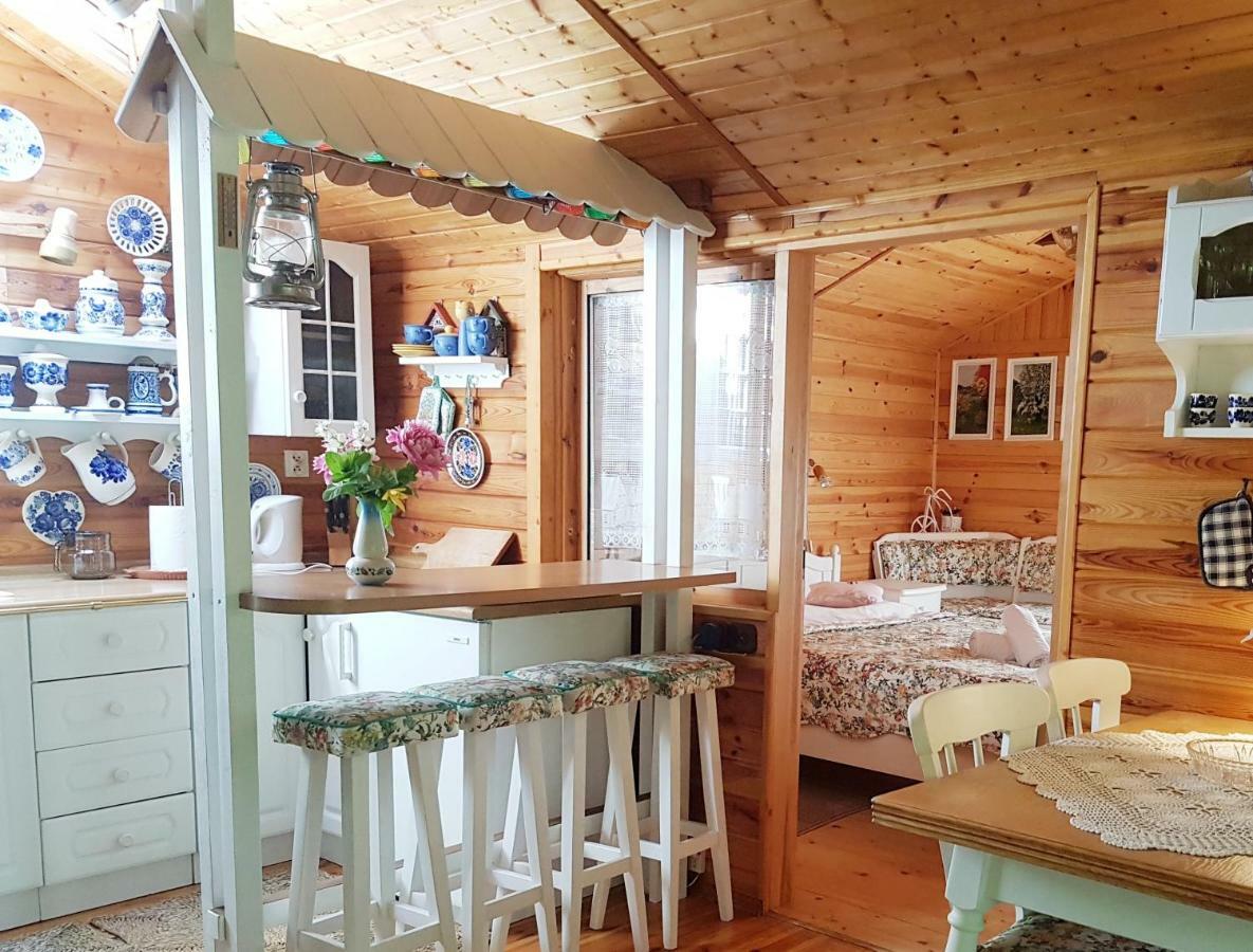 Domek Letniskowy Na Kaszubach Lub Apartament Z Kominkiem 帕克 外观 照片