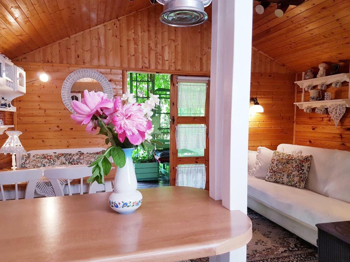 Domek Letniskowy Na Kaszubach Lub Apartament Z Kominkiem 帕克 外观 照片