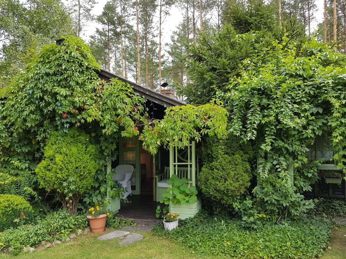 Domek Letniskowy Na Kaszubach Lub Apartament Z Kominkiem 帕克 外观 照片