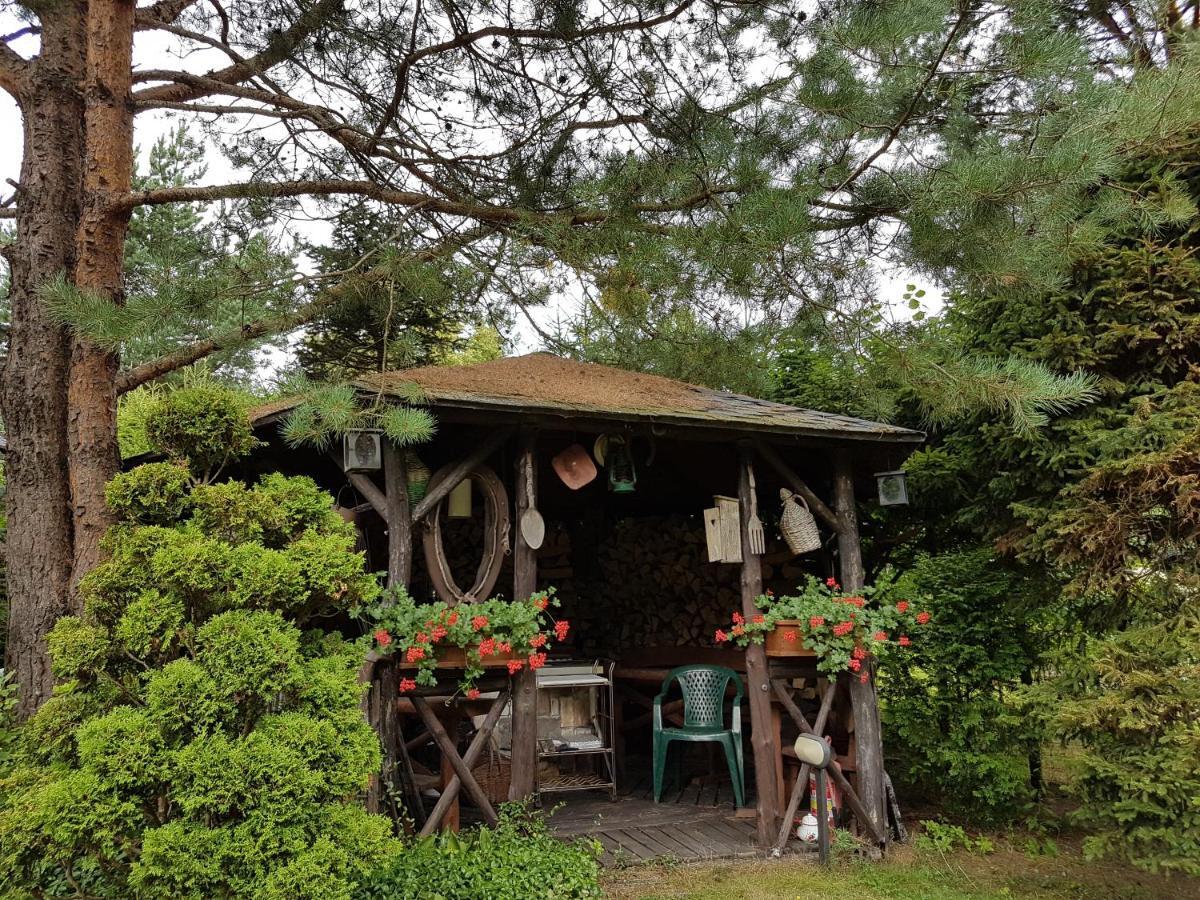 Domek Letniskowy Na Kaszubach Lub Apartament Z Kominkiem 帕克 外观 照片