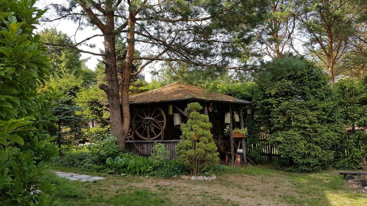 Domek Letniskowy Na Kaszubach Lub Apartament Z Kominkiem 帕克 外观 照片