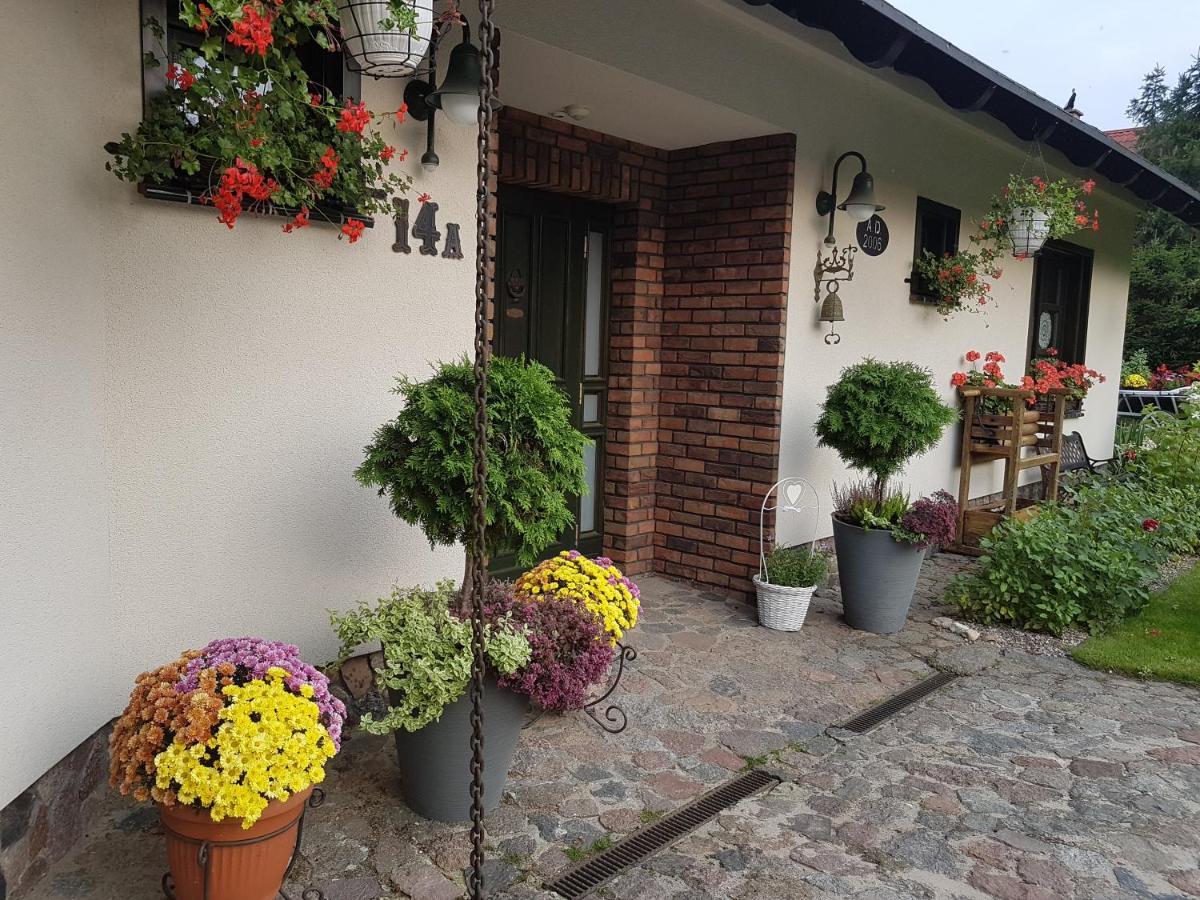 Domek Letniskowy Na Kaszubach Lub Apartament Z Kominkiem 帕克 外观 照片