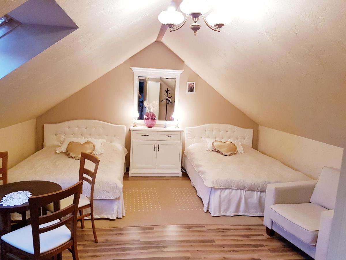 Domek Letniskowy Na Kaszubach Lub Apartament Z Kominkiem 帕克 外观 照片
