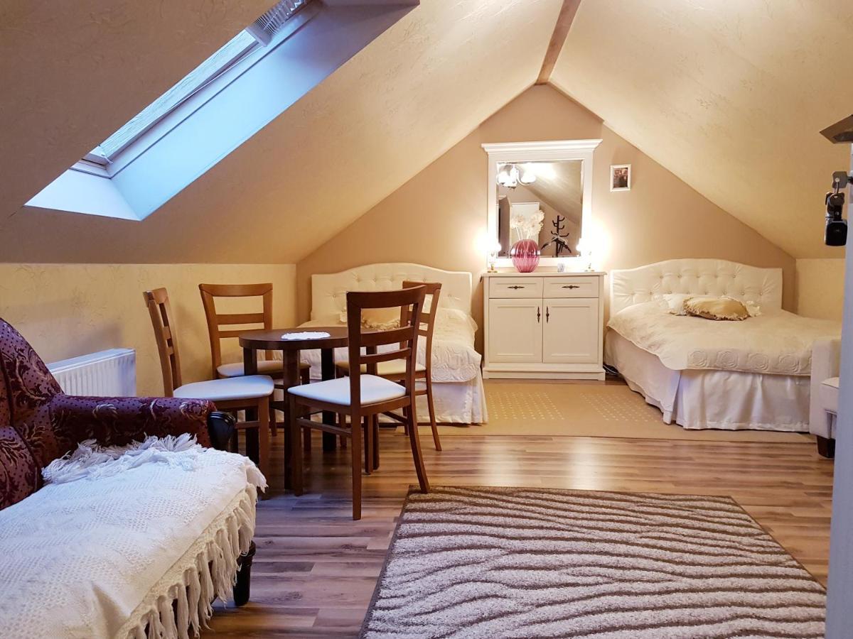 Domek Letniskowy Na Kaszubach Lub Apartament Z Kominkiem 帕克 外观 照片